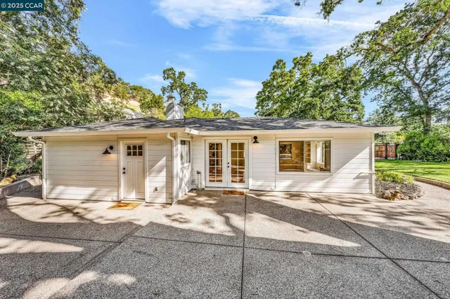 a plant view in a garden