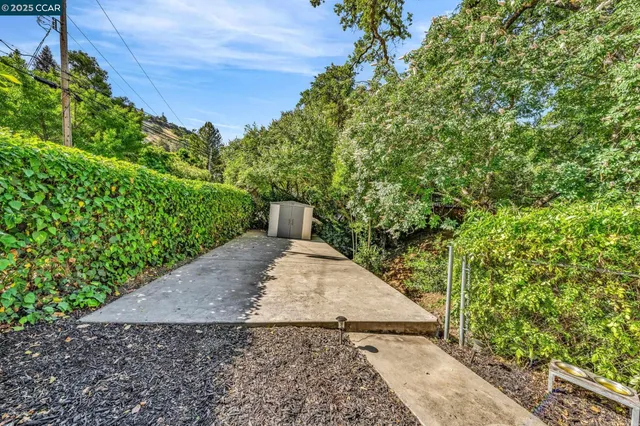 a view of a street with large trees