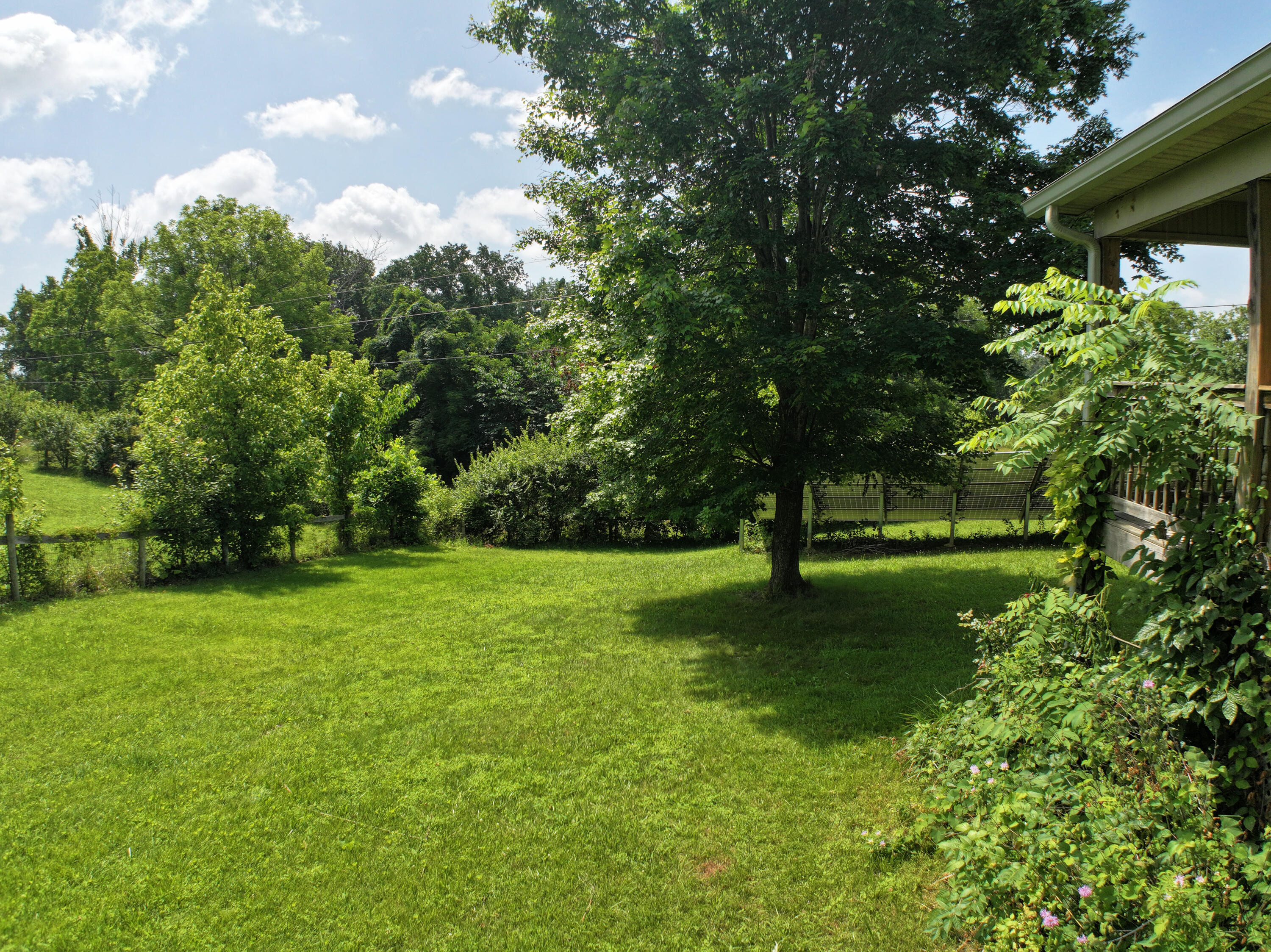 975 Red River Road Irvine, KY 40336 - Photo 69 of 71 The front yard
