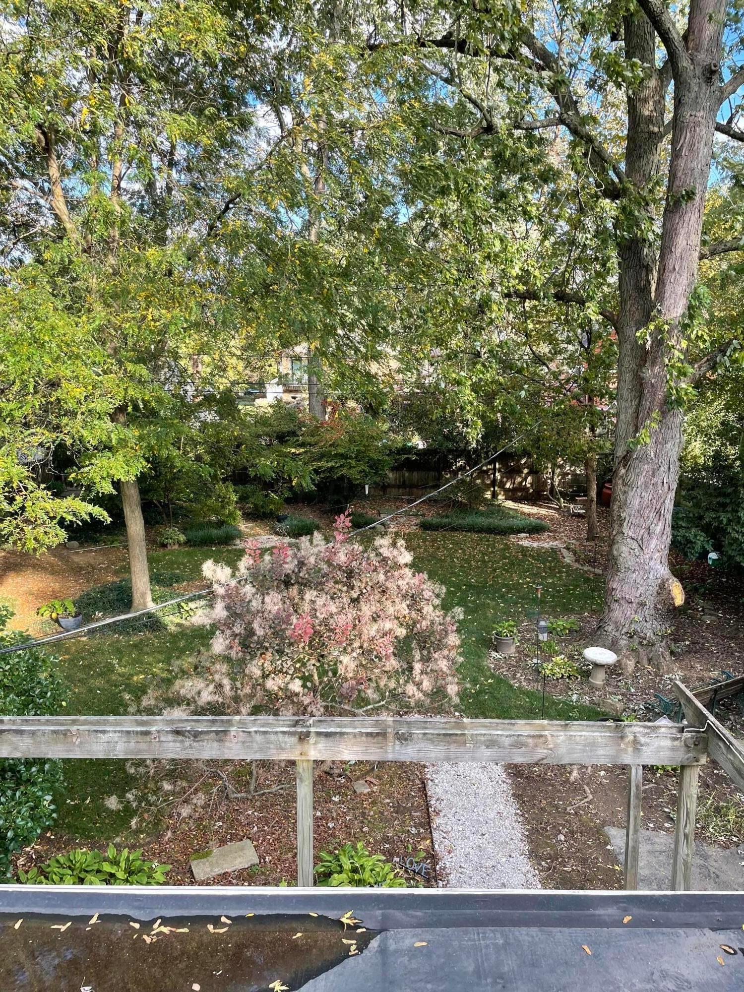 78 South Harding Road Columbus, OH 43209 - Photo 10 of 34 IMG_1957