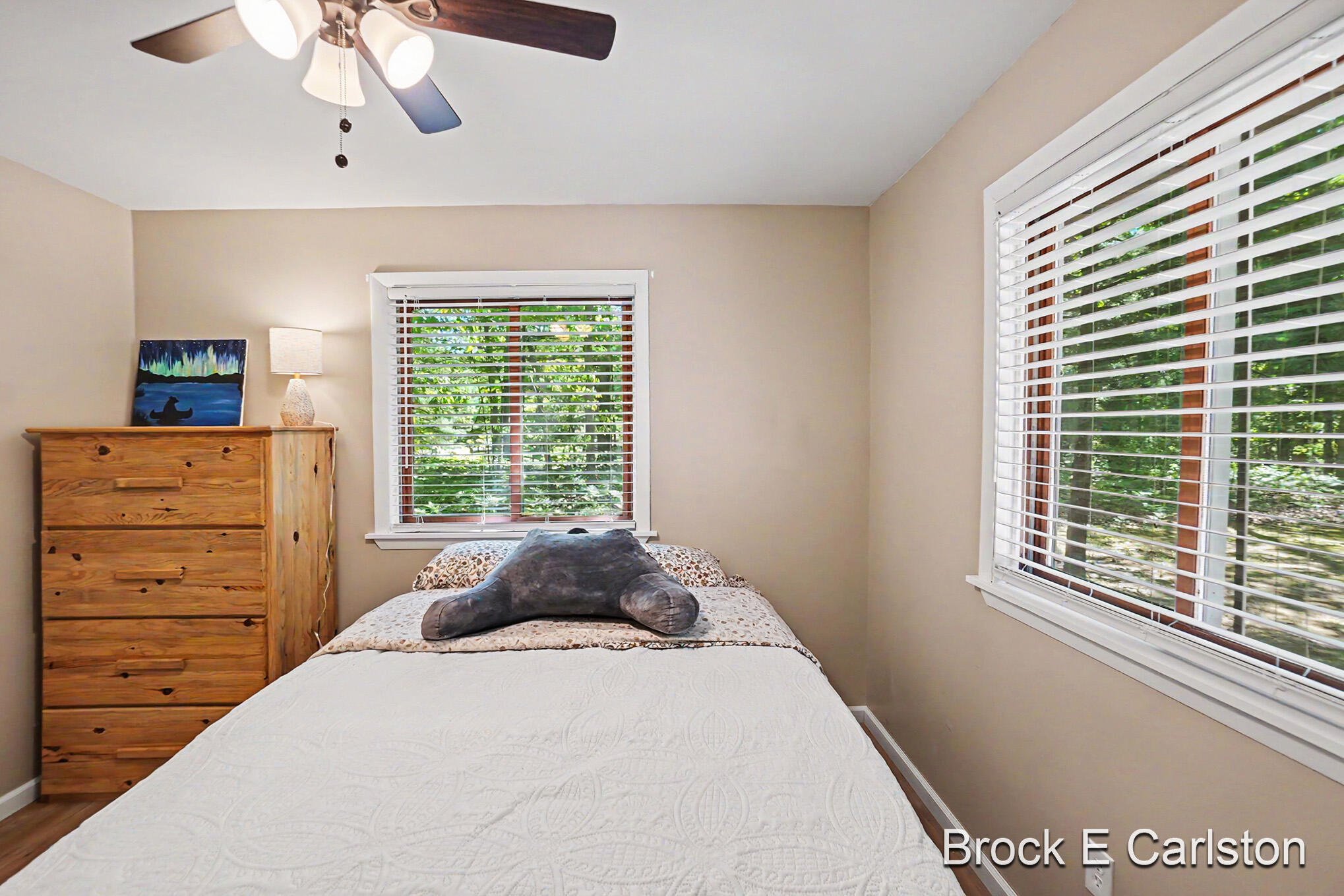 17455 Hoxeyville Road Wellston, MI 49689 - Photo 27 of 37 DSC03959