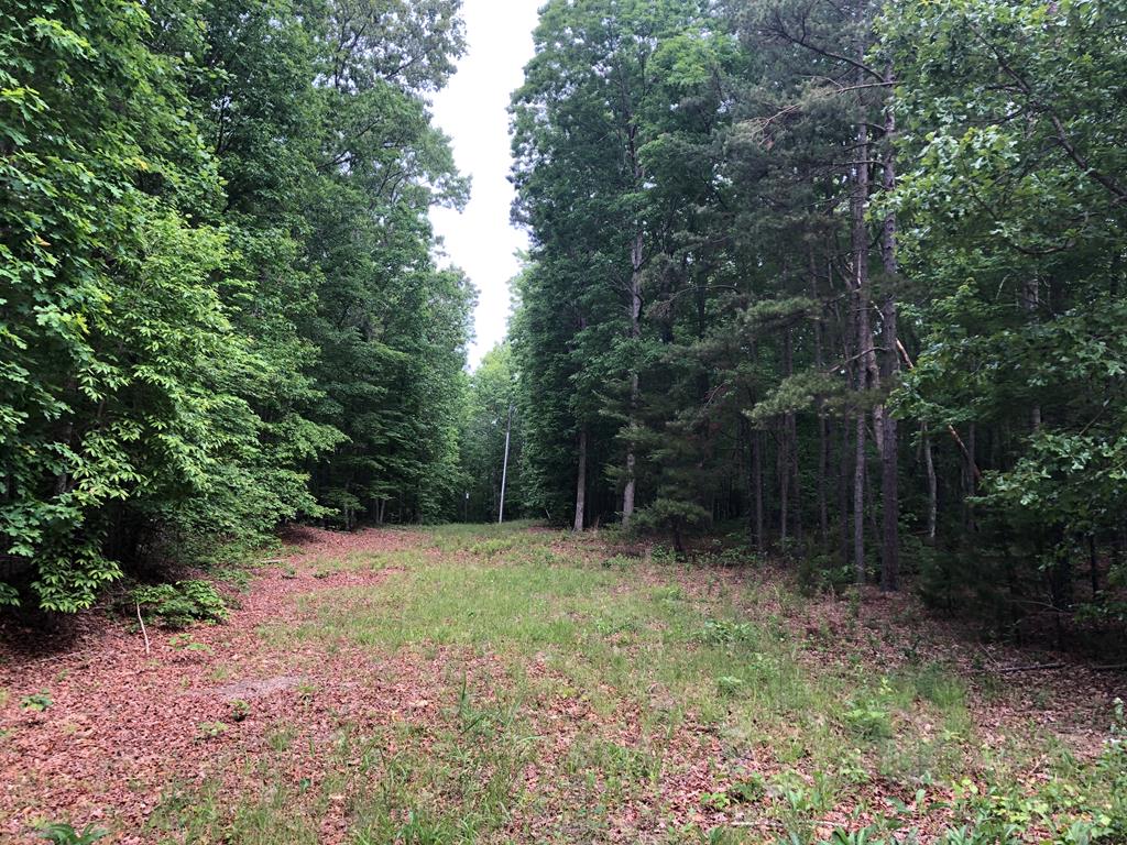 Plank Road, Unit 12 Kenbridge, VA 23944 - Photo 2 of 7 Gallery Image 2
