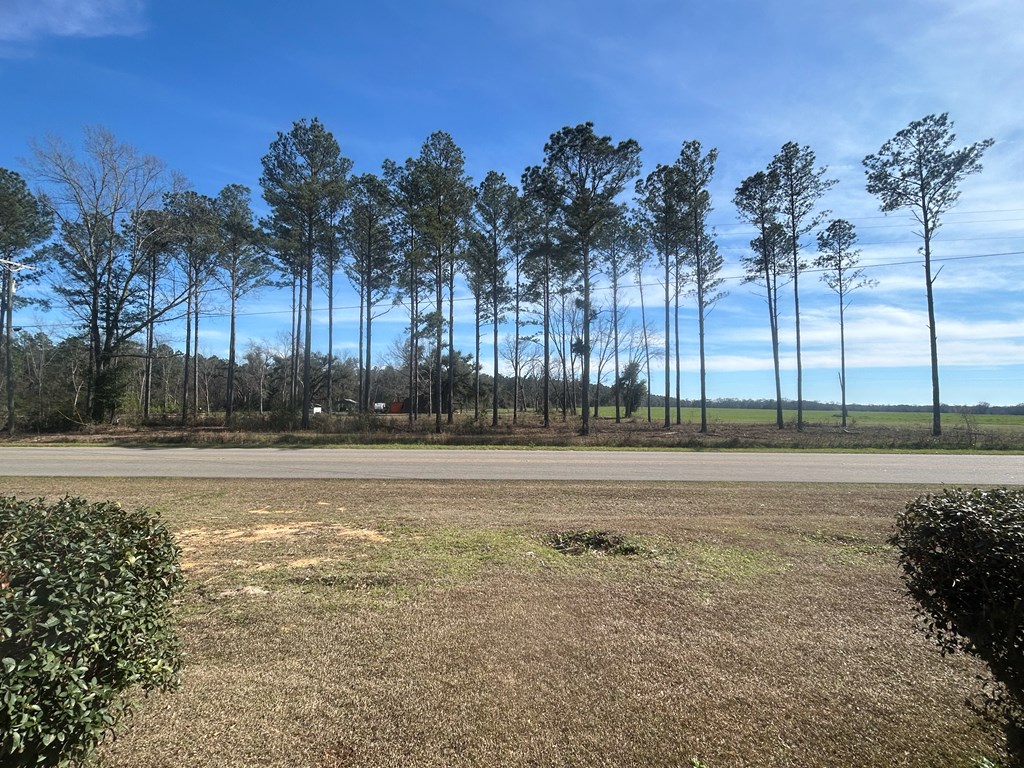 4717 State Line Road Cottonwood, AL 36320 - Photo 30 of 37