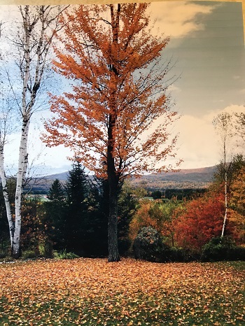 74 Page Hill Road Lancaster, NH 03584 - Photo 20 of 32