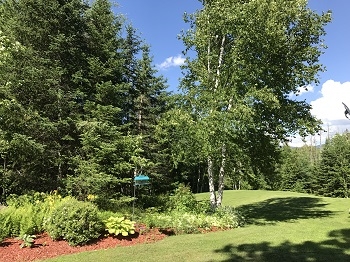 74 Page Hill Road Lancaster, NH 03584 - Photo 25 of 32