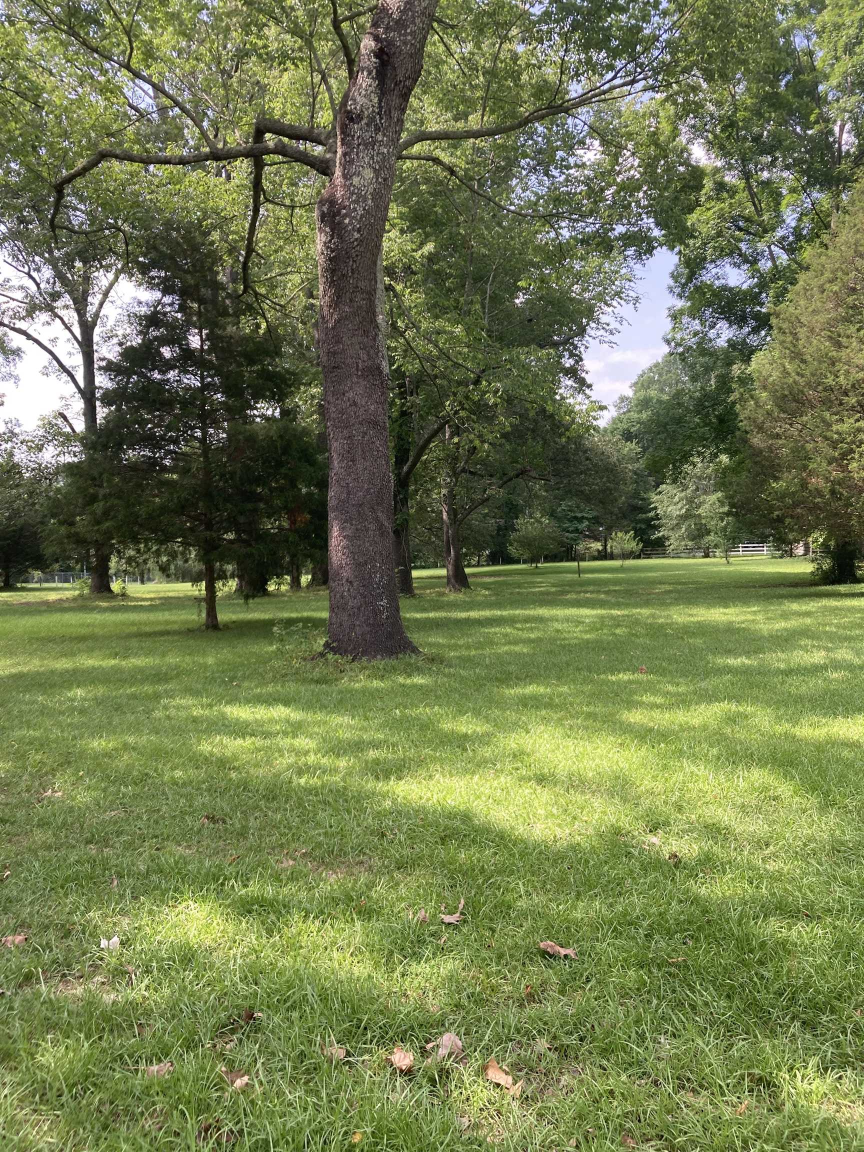 6016 Elmore Road Bartlett, TN 38134 - Photo 1 of 2 a big yard with lots of green space and trees