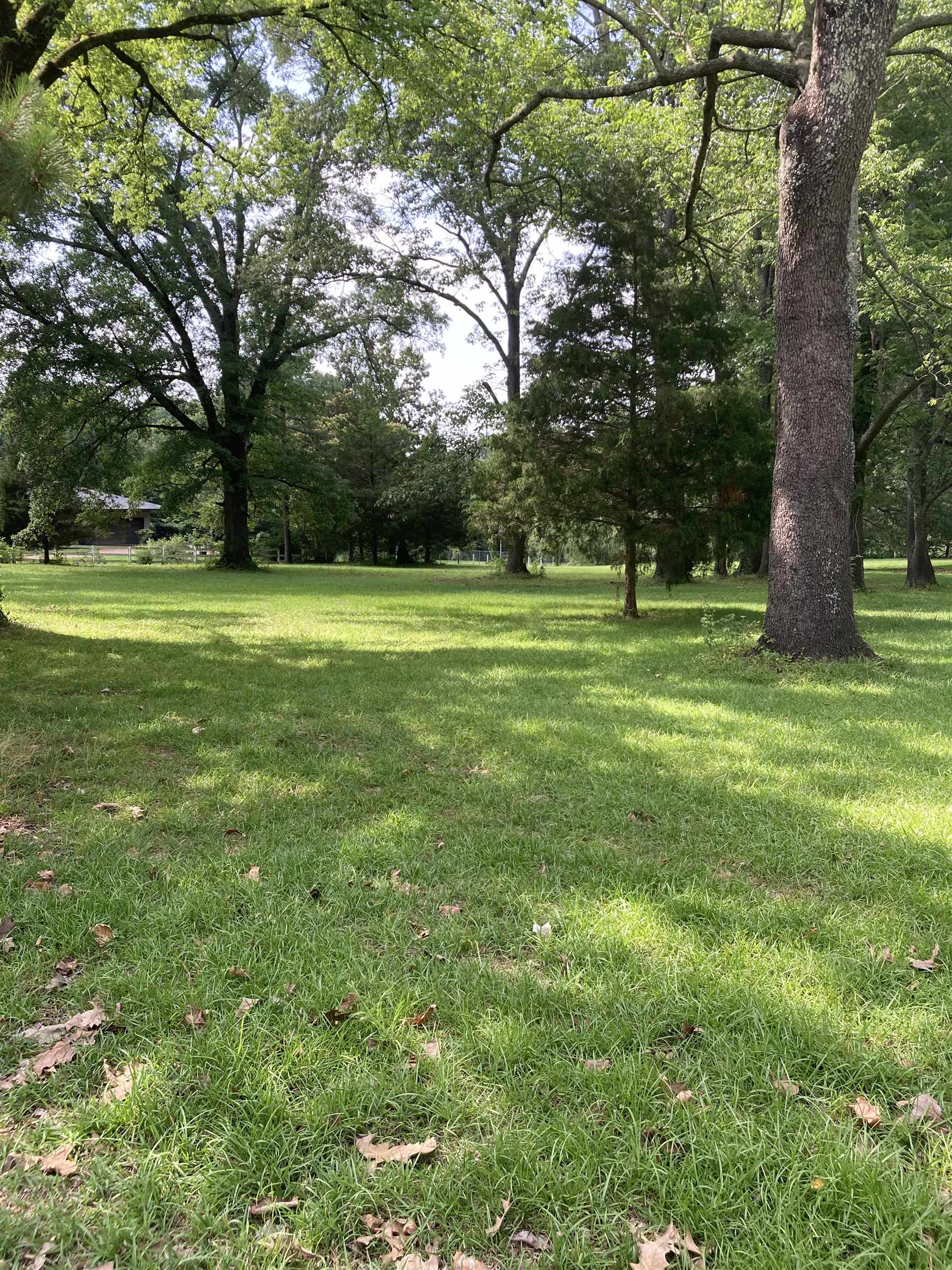 6016 Elmore Road Bartlett, TN 38134 - Photo 2 of 2 a view of a trees in a yard