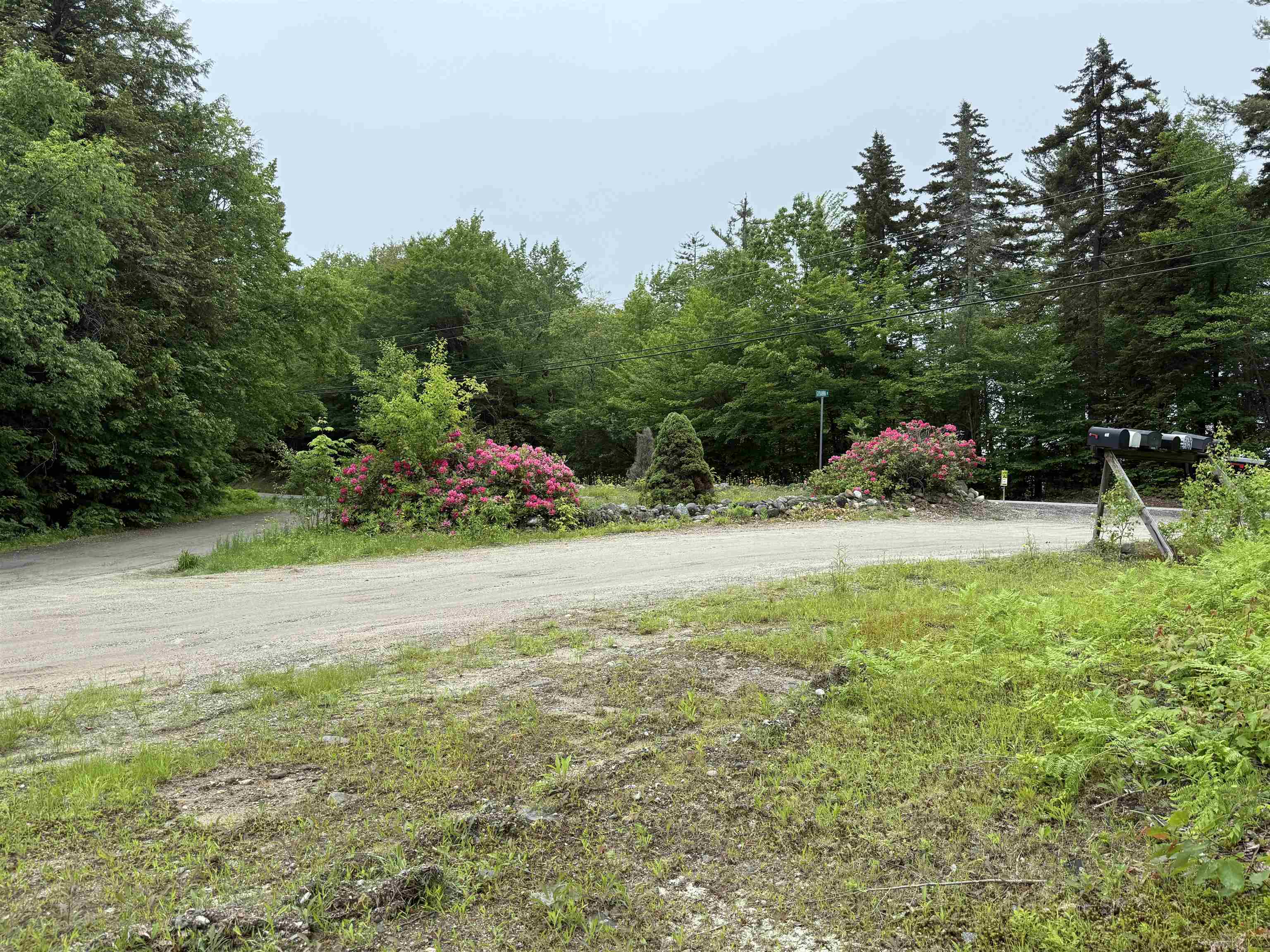 1 Giovanna Road Hebron, NH 03241 - Photo 4 of 17