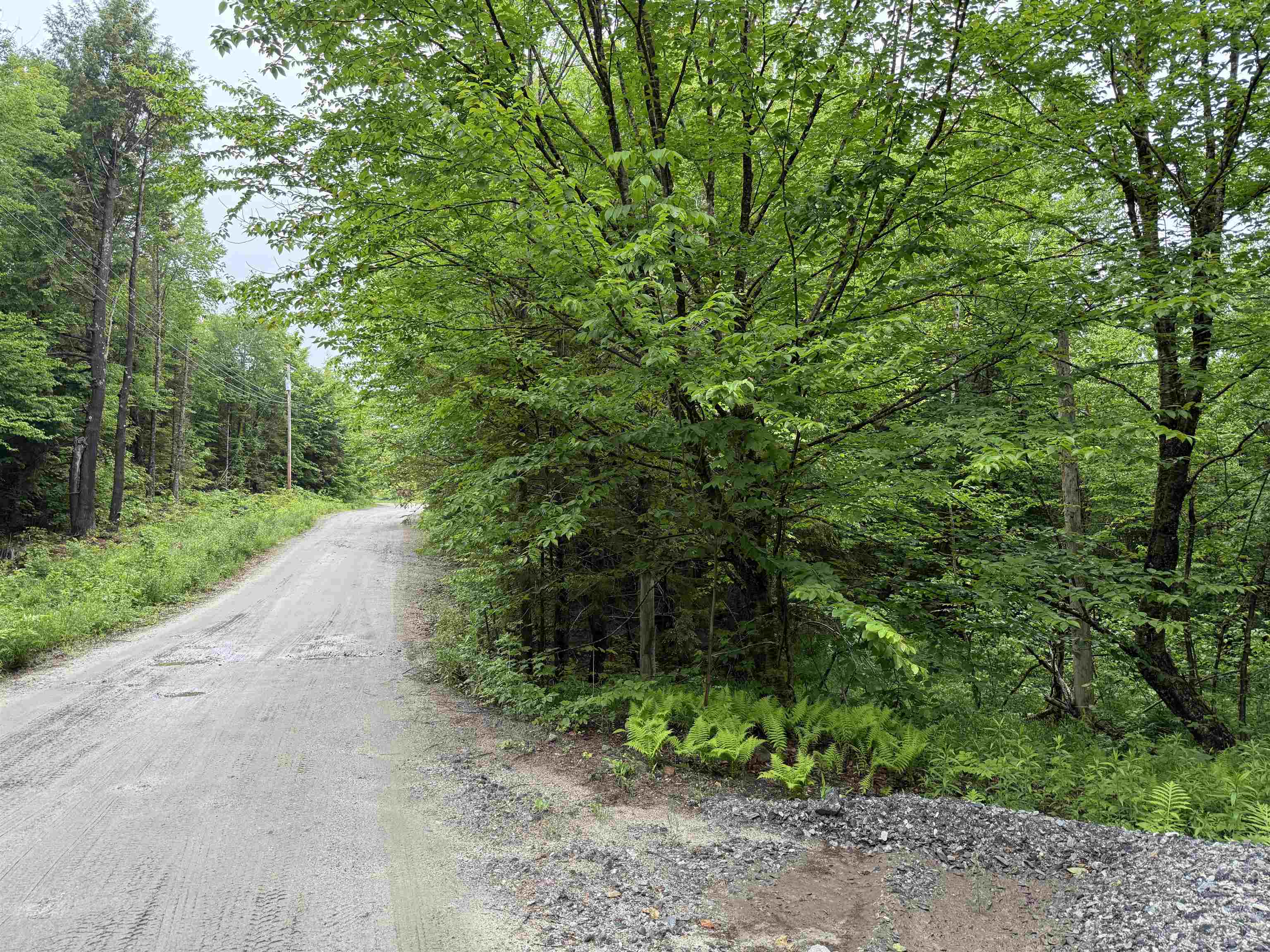 1 Giovanna Road Hebron, NH 03241 - Photo 6 of 17