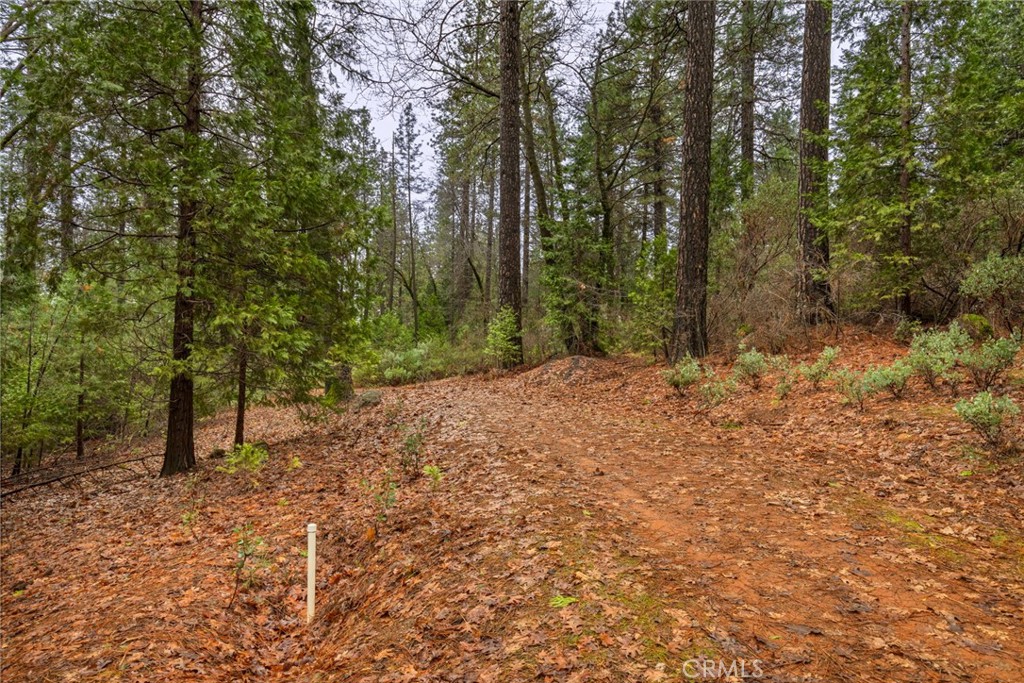 0 Christina Drive Forest Ranch, CA 95942 - Photo 12 of 18 a view of a yard with trees