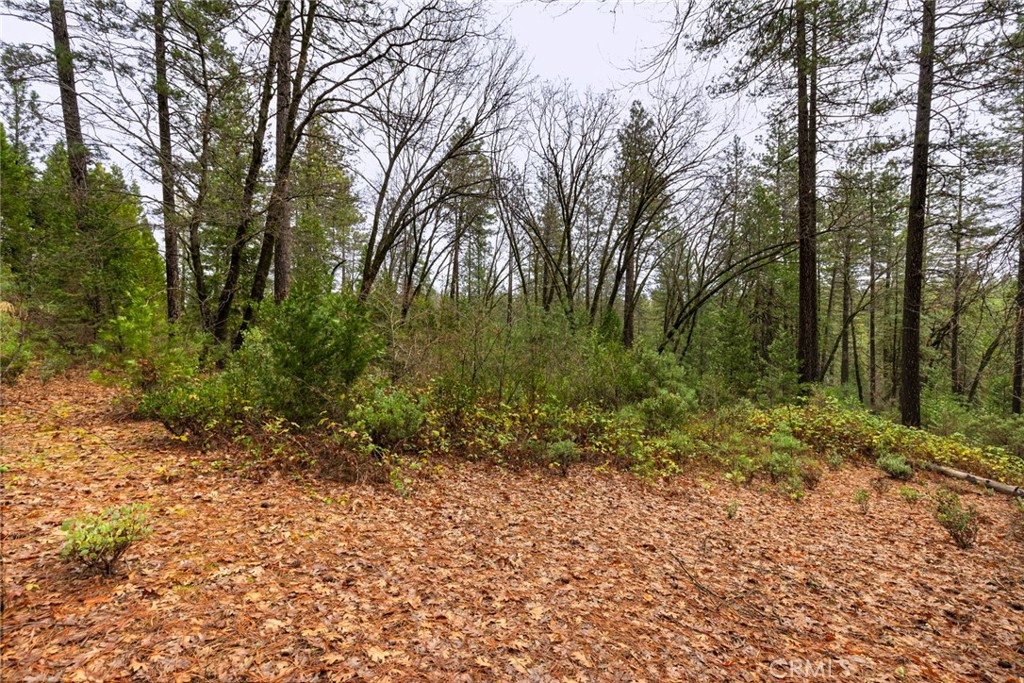 0 Christina Drive Forest Ranch, CA 95942 - Photo 15 of 18 a view of a forest with trees in the background