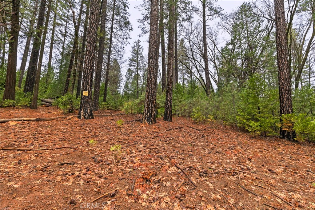 0 Christina Drive Forest Ranch, CA 95942 - Photo 18 of 18 a view of outdoor space with trees