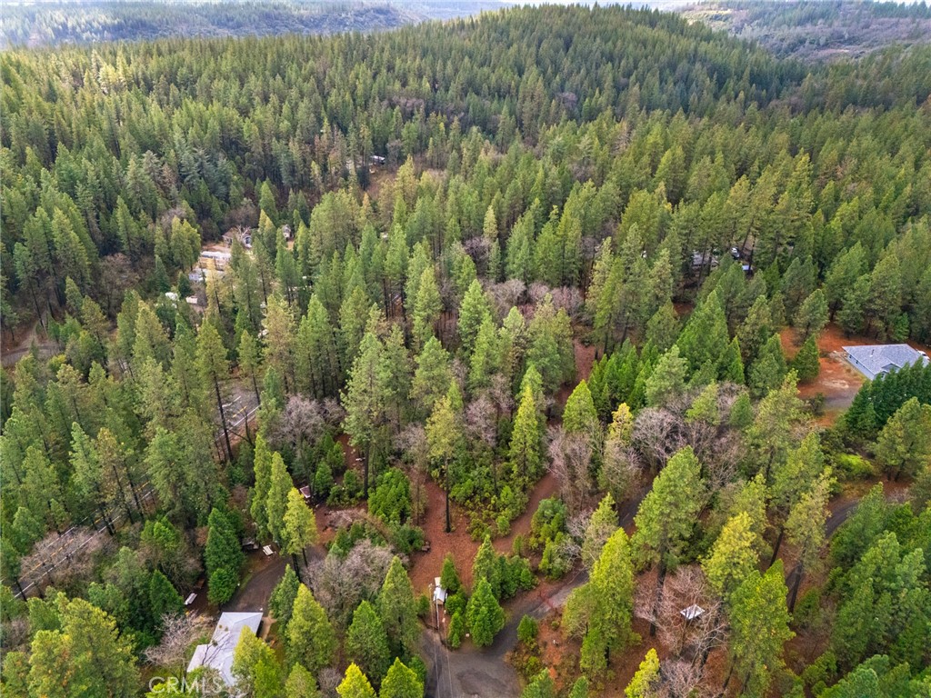 0 Christina Drive Forest Ranch, CA 95942 - Photo 2 of 18 a view of a forest with a houses