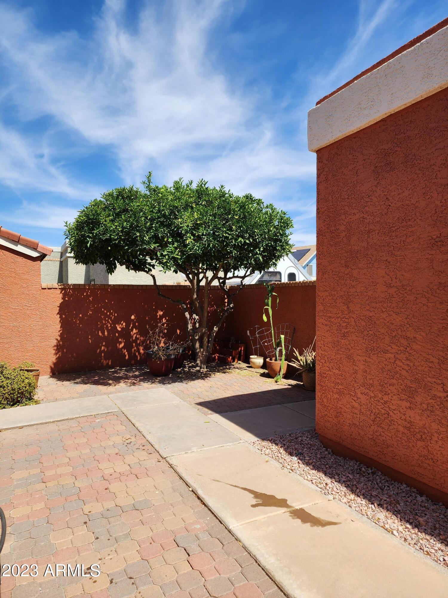 517 West Knox Road Chandler, AZ 85225 - Photo 2 of 14