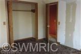20250 Junction Road Bellevue, MI 49021 - Photo 8 of 11 Additional Photo