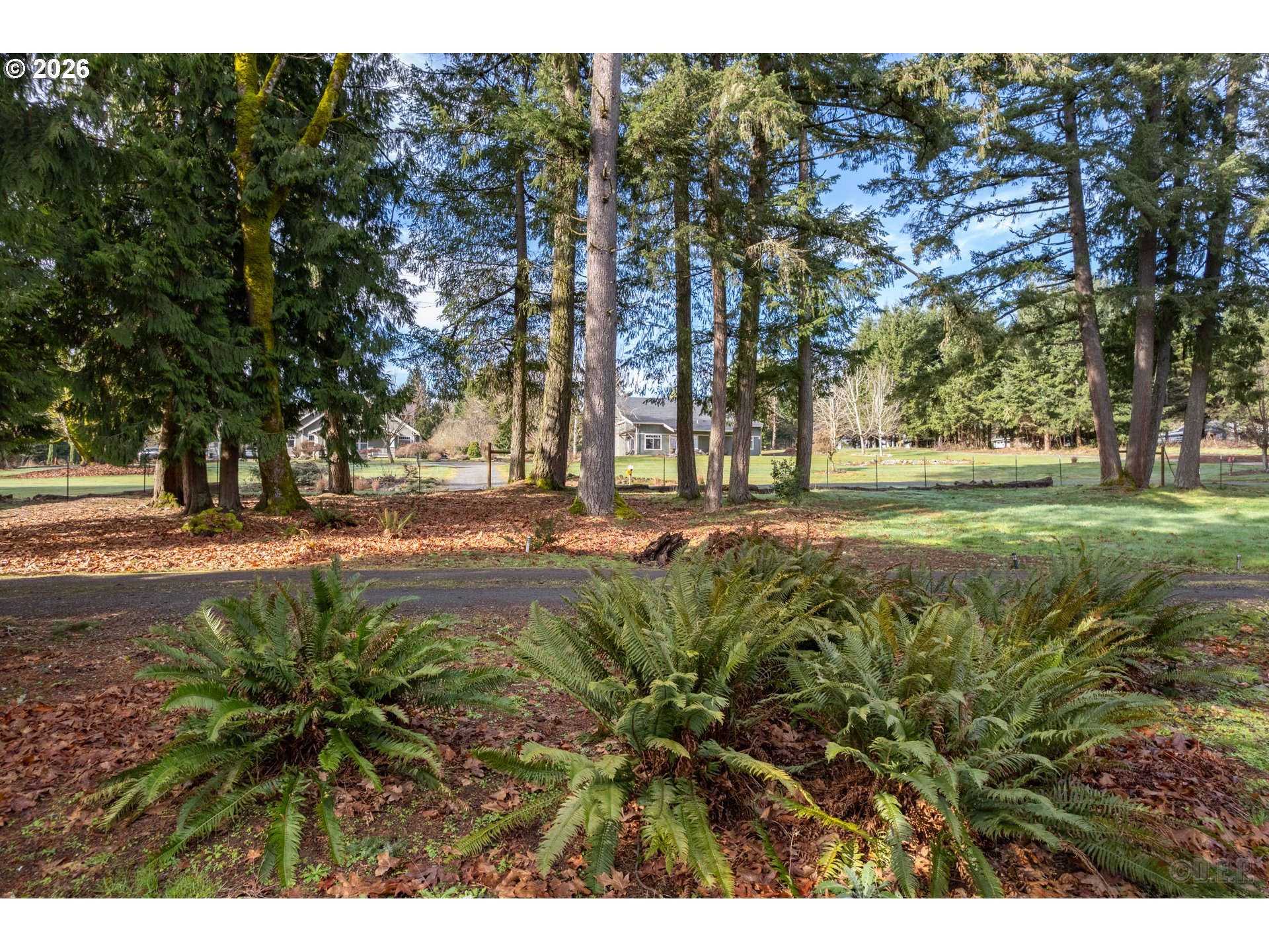 33506 Rodney Street Warren, OR 97053 - Photo 31 of 38