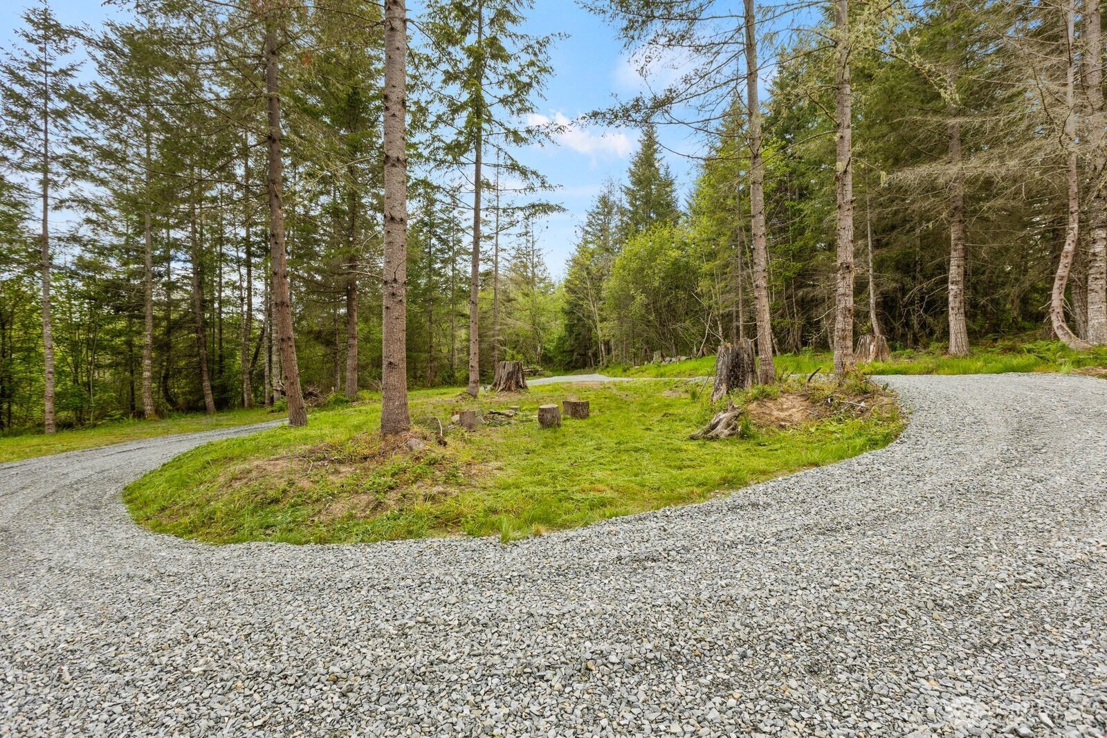 11014 Pilgrim Road East Eatonville, WA 98328 - Photo 2 of 16