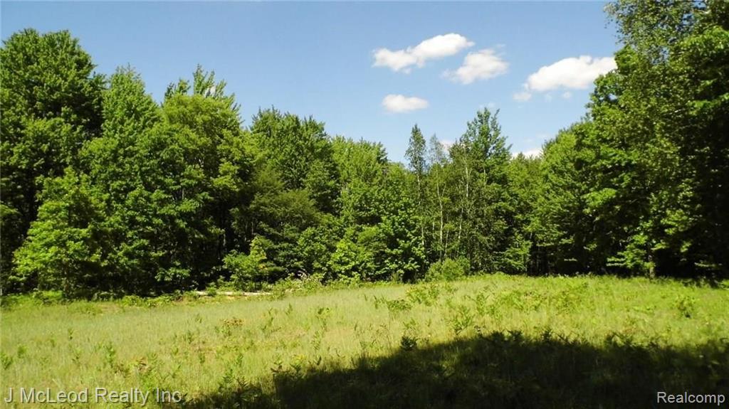 Vl Brown Road Millington, MI 48746 - Photo 2 of 9