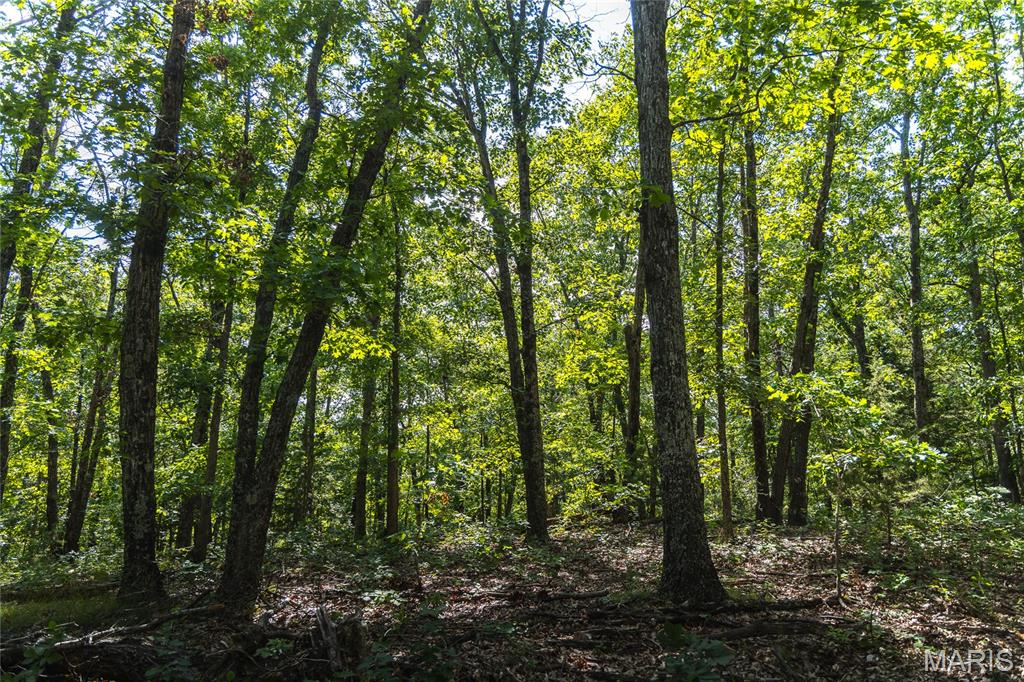 275 Oak Ridge Road Bourbon, MO 65441 - Photo 3 of 13