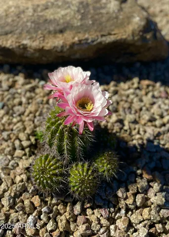 $825,000 | 2049 East Gaffney Road, New River, AZ 85087