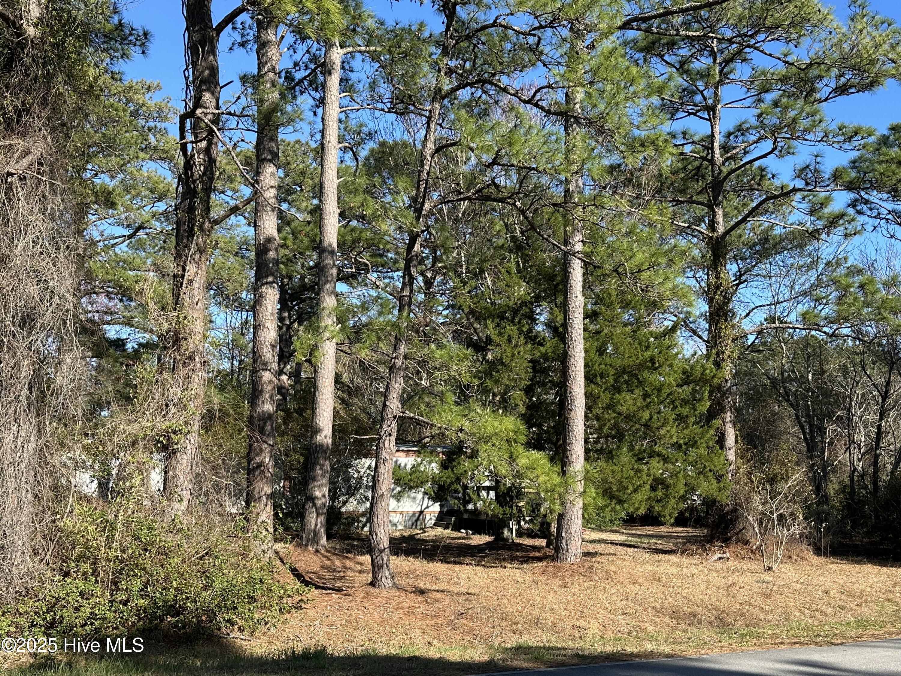 438 Firetower Road Beaufort, NC 28516 - Photo 5 of 7 2025-03-18 16.44.23