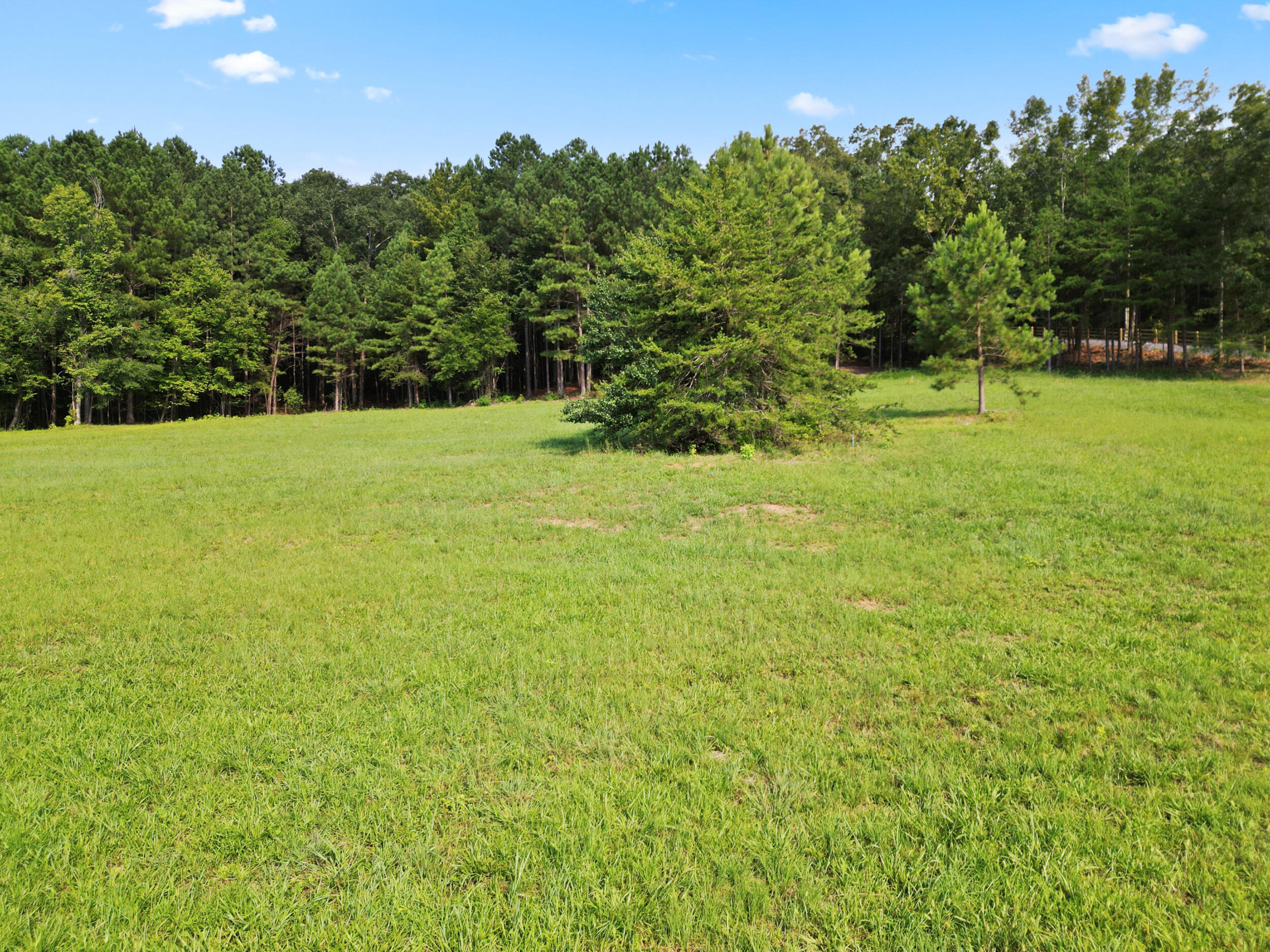 Lot 1 McDonald Road McDonald, TN 37353 - Photo 8 of 18 dji_0957