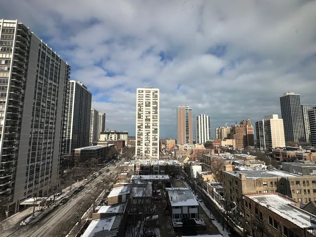 $309,900 | 88 West Schiller Street, Unit 1105L, Chicago, IL 60610