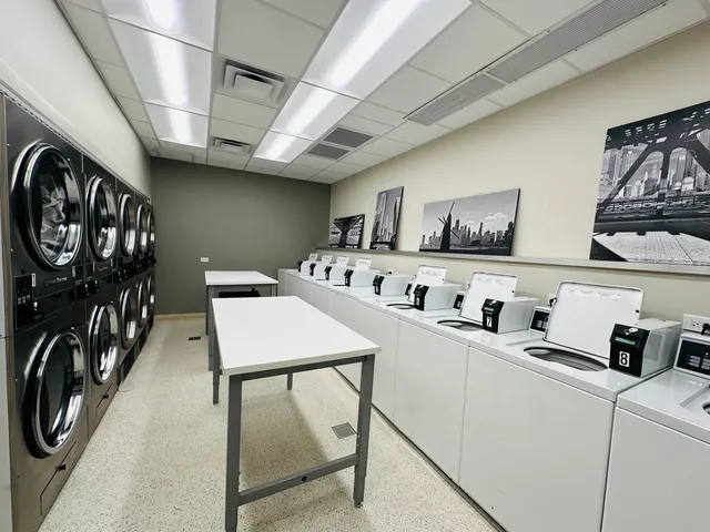 $309,900 | 88 West Schiller Street, Unit 1105L, Chicago, IL 60610