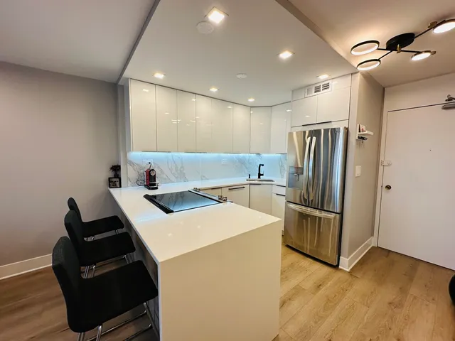 $309,900 | 88 West Schiller Street, Unit 1105L, Chicago, IL 60610