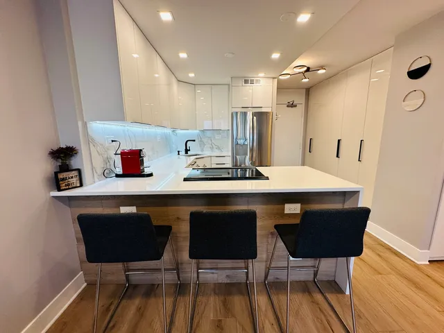 $309,900 | 88 West Schiller Street, Unit 1105L, Chicago, IL 60610