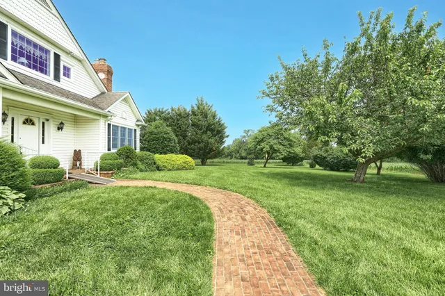 a view of a garden with a tree