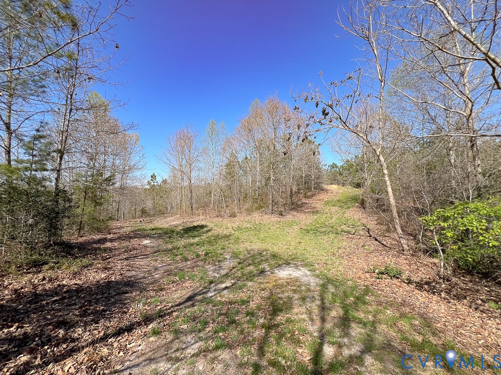 18262 Seals Road Bowling Green, VA 22427 - Photo 37 of 50 a view of a yard with mountain view