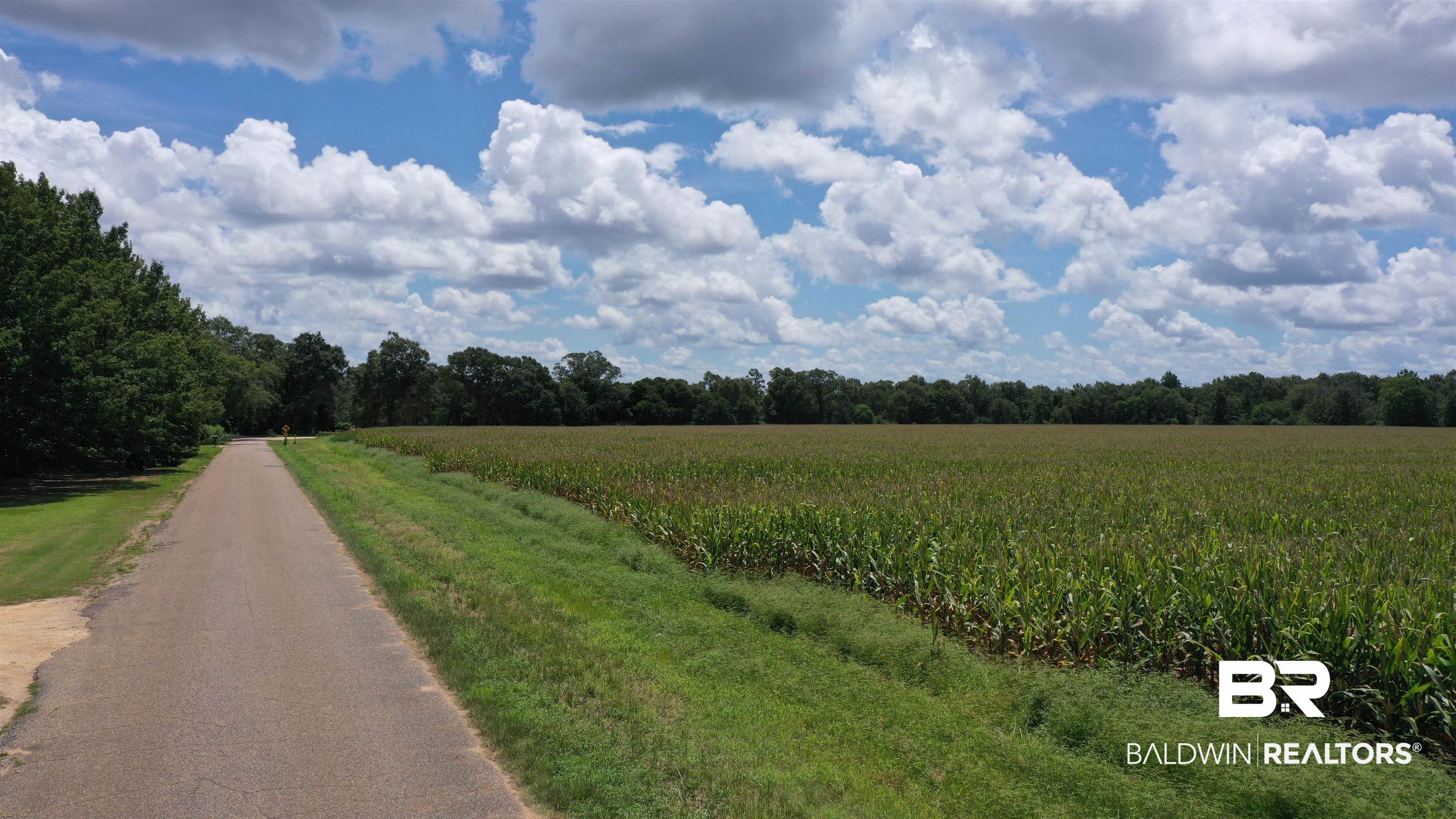 3 Highway 21 Atmore, AL 36502 - Photo 4 of 18 View of road