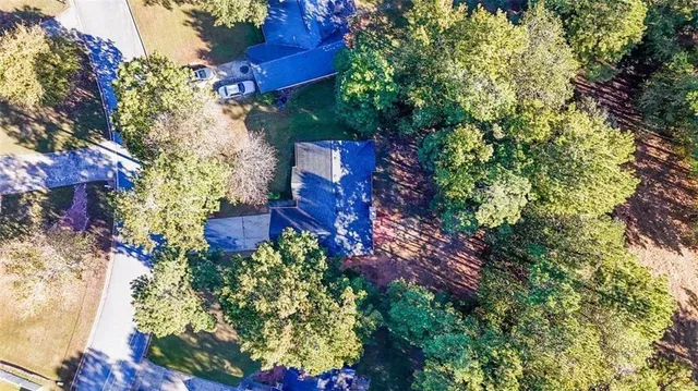 a view of a garden with flowers