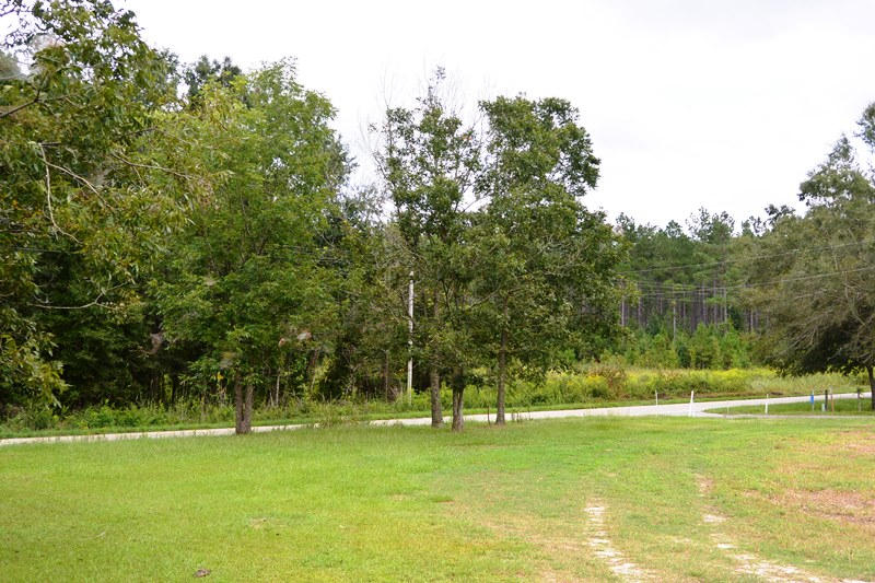 4389 Santee River Rd Lane Lane, SC 29564 - Photo 3 of 4 3