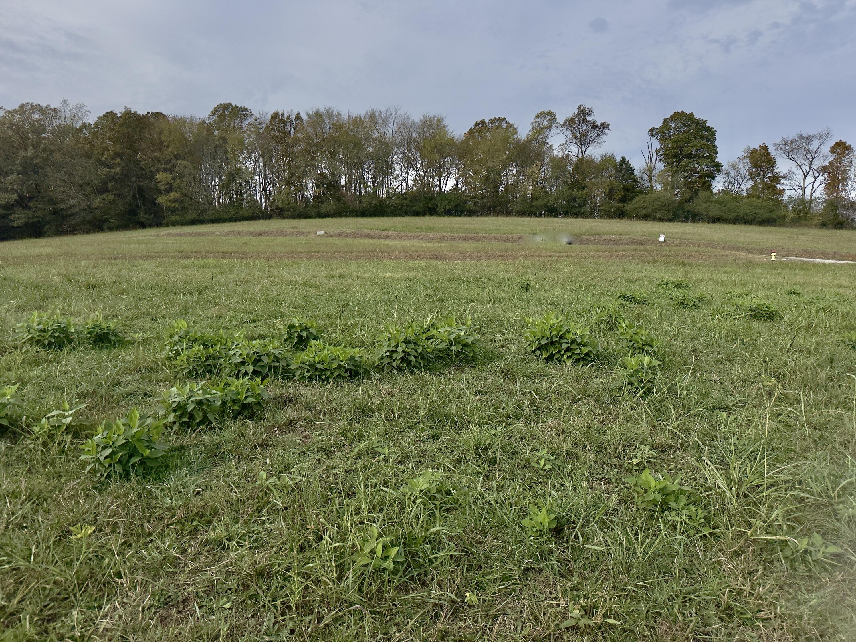 0 Goodfield Road, Unit LOT 18 Decatur, TN 37322 - Photo 2 of 9 IMG_5721