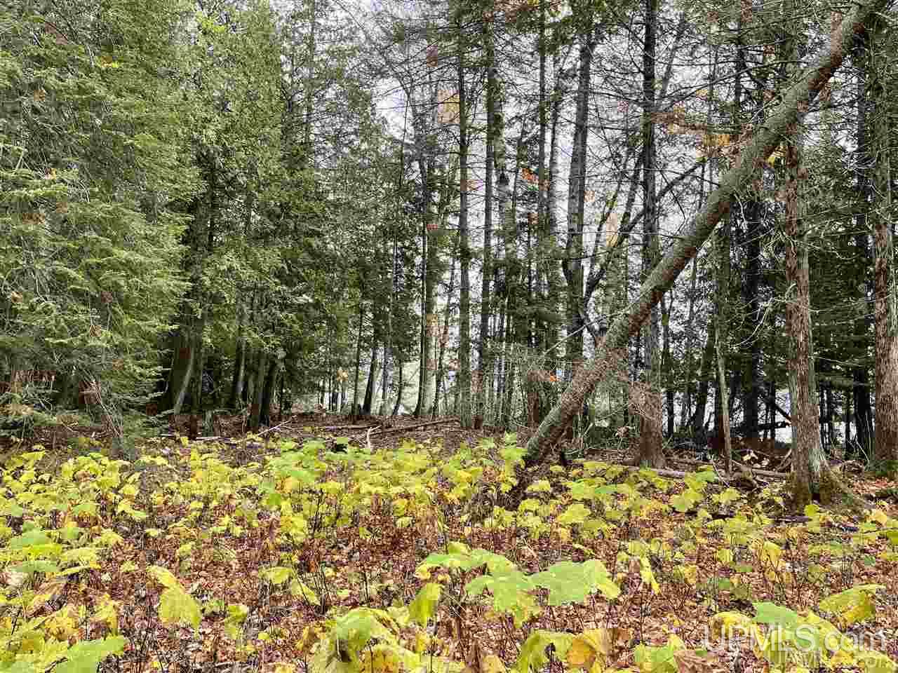 Lot 4 Liimatainen Road Lanse, MI 49946 - Photo 15 of 17 Gallery Image 15