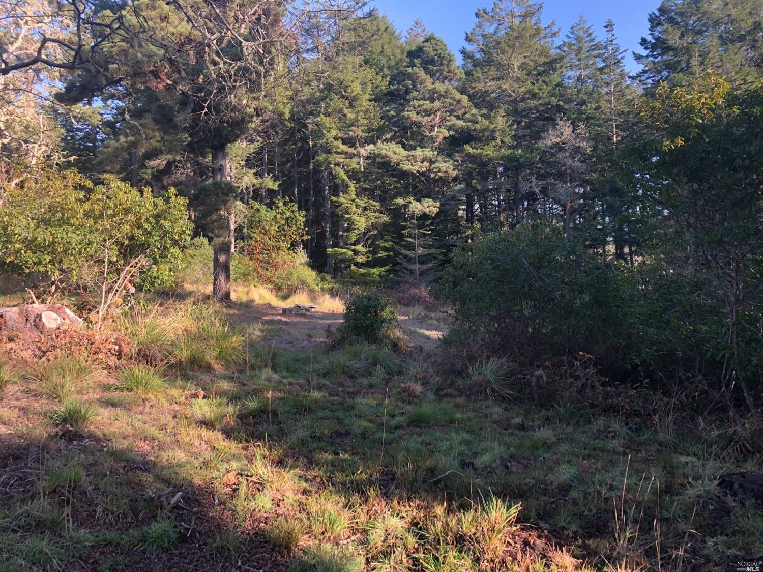 346 Conifer Close The Sea Ranch, CA 95497 - Photo 1 of 1 Gallery Image 1