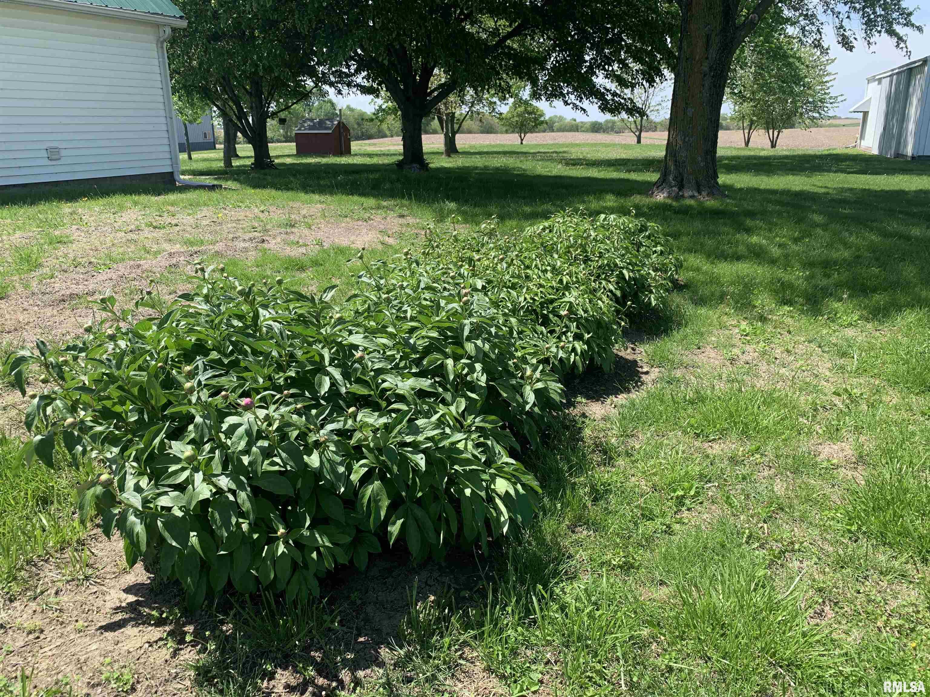 2911 Highway 96 Sutter, IL 62373 - Photo 23 of 24