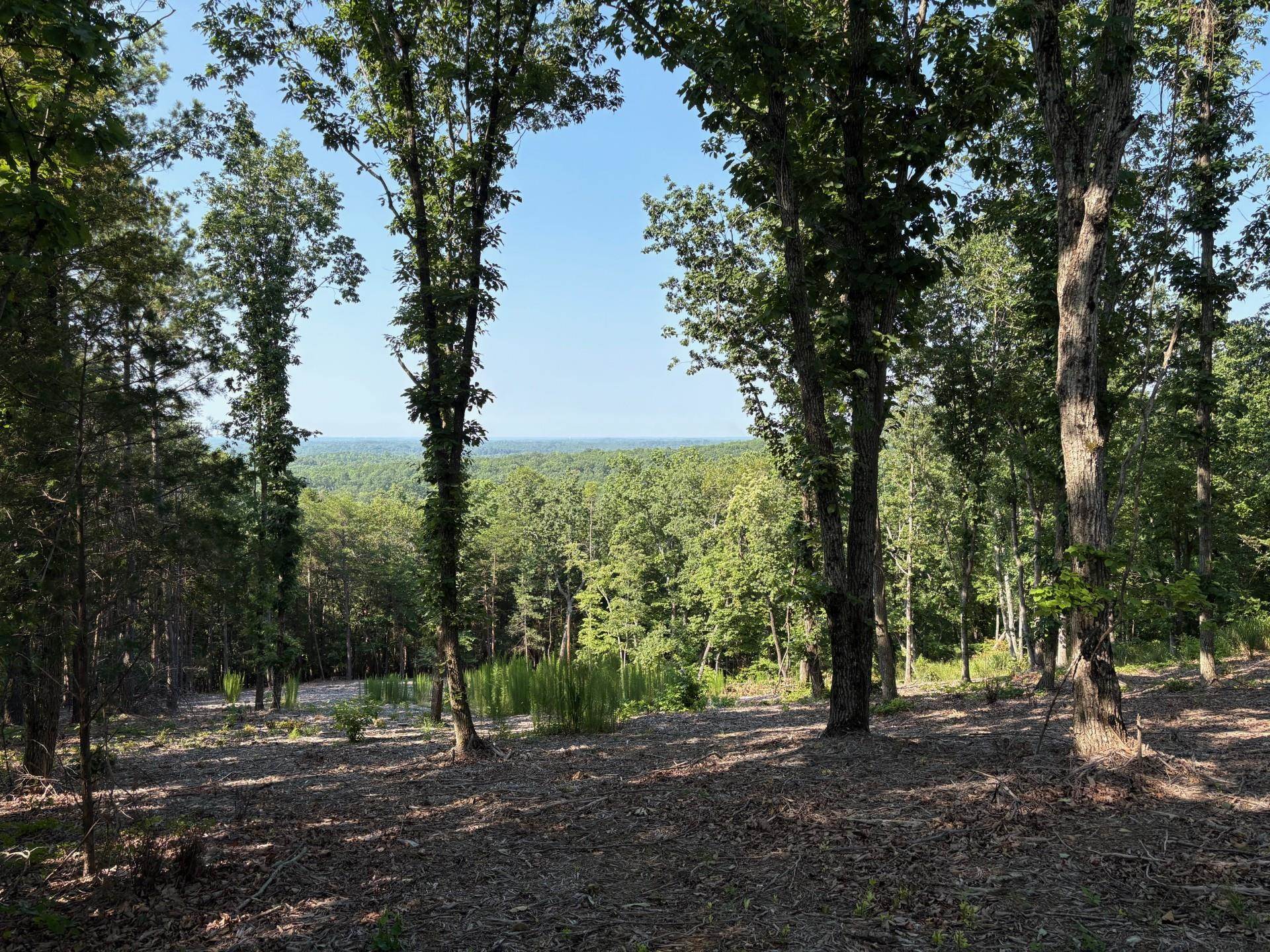 102 Long View Court Pickens, SC 29671 - Photo 5 of 13