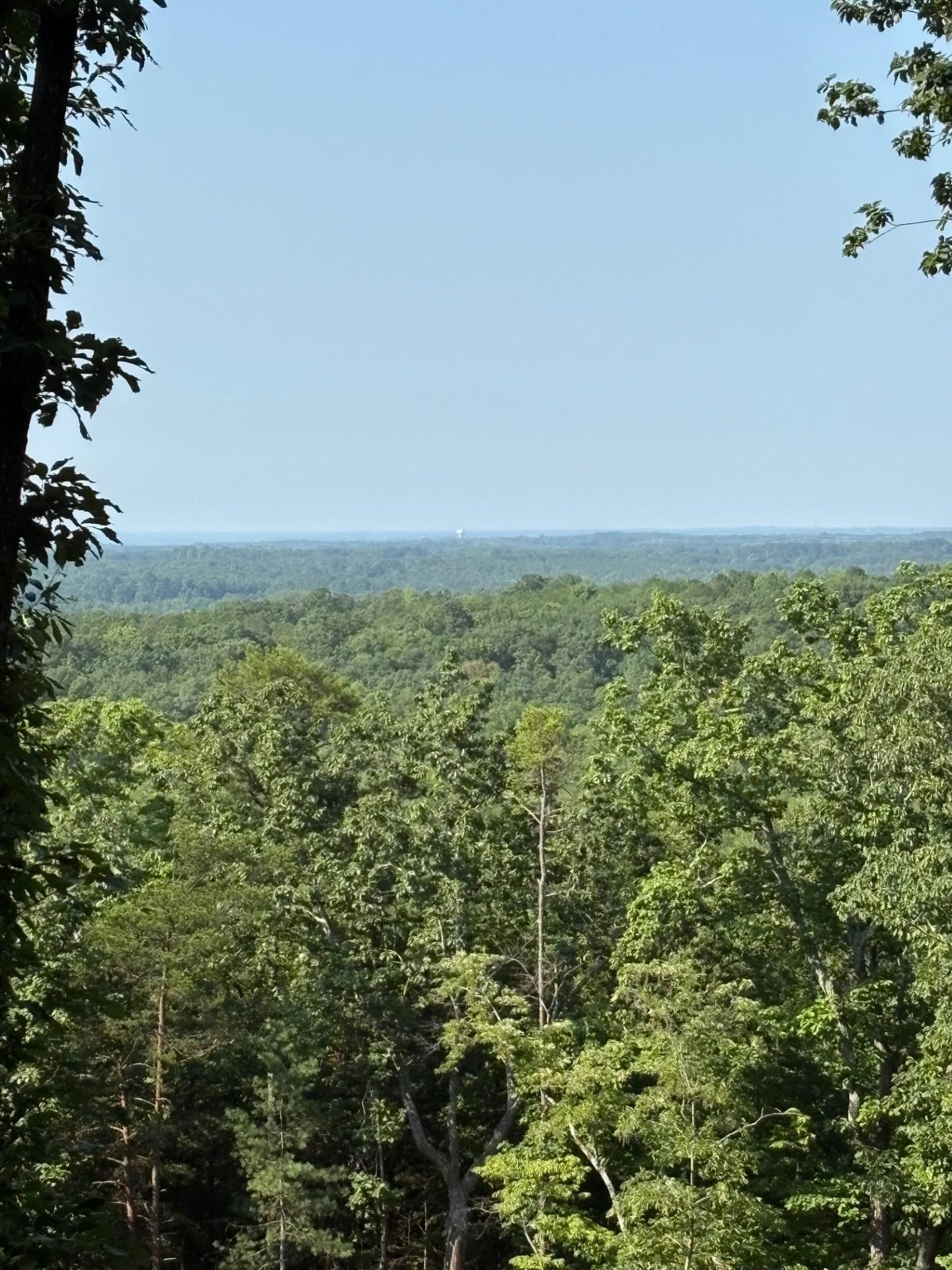 102 Long View Court Pickens, SC 29671 - Photo 6 of 13