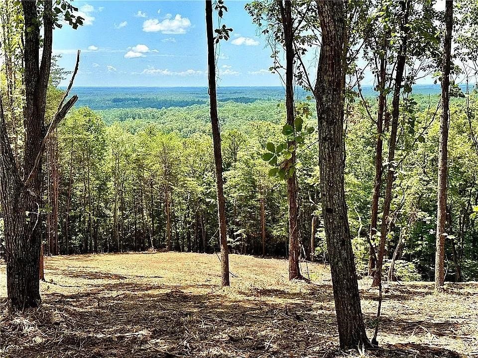 102 Long View Court Pickens, SC 29671 - Photo 8 of 13