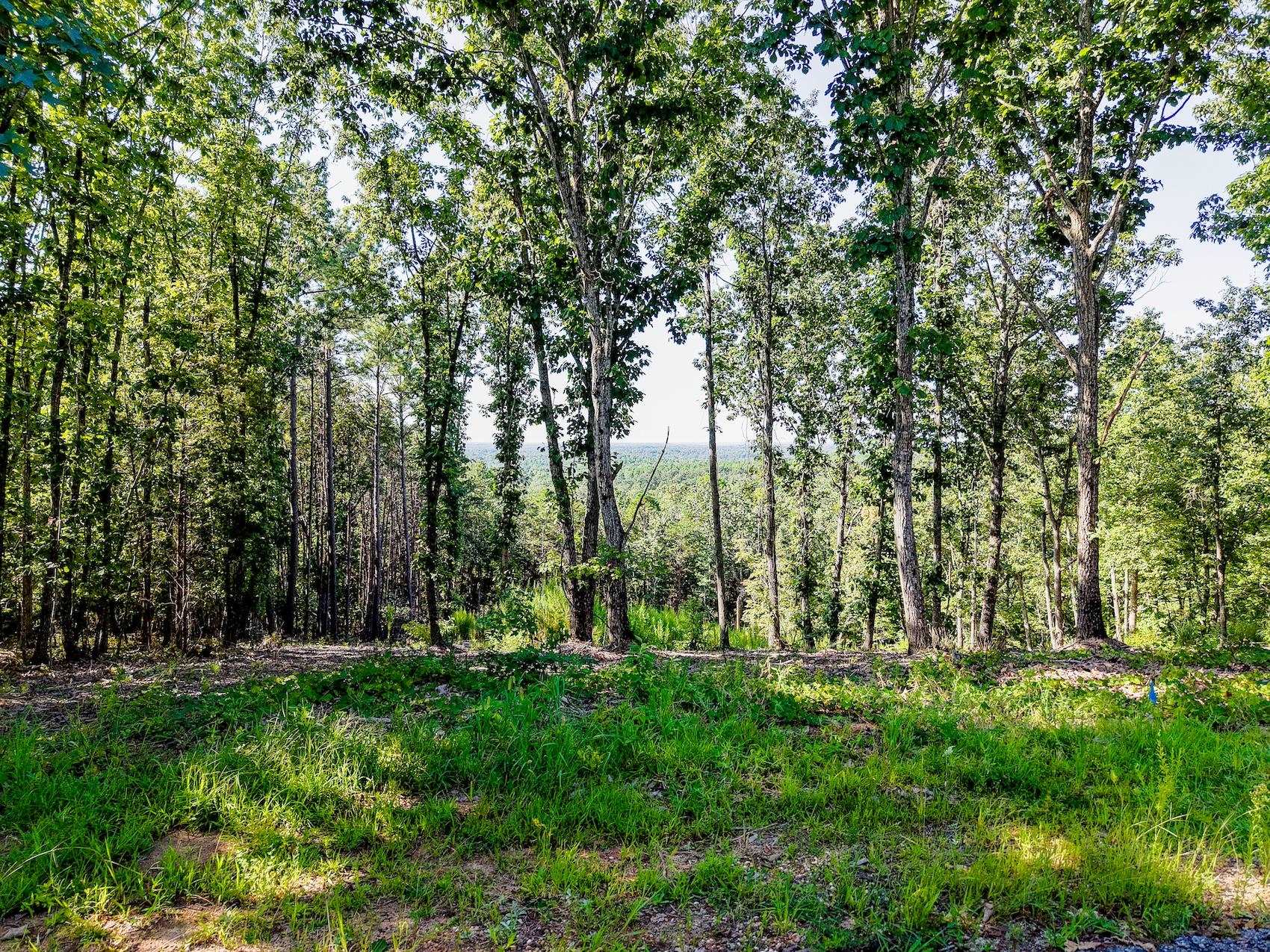102 Long View Court Pickens, SC 29671 - Photo 9 of 13