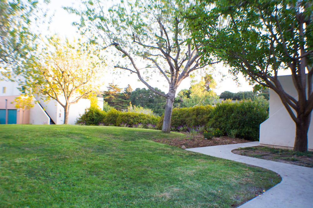 3570 Modoc Road, Unit 17 Santa Barbara, CA 93105 - Photo 23 of 24 ModocCondo_Web-30
