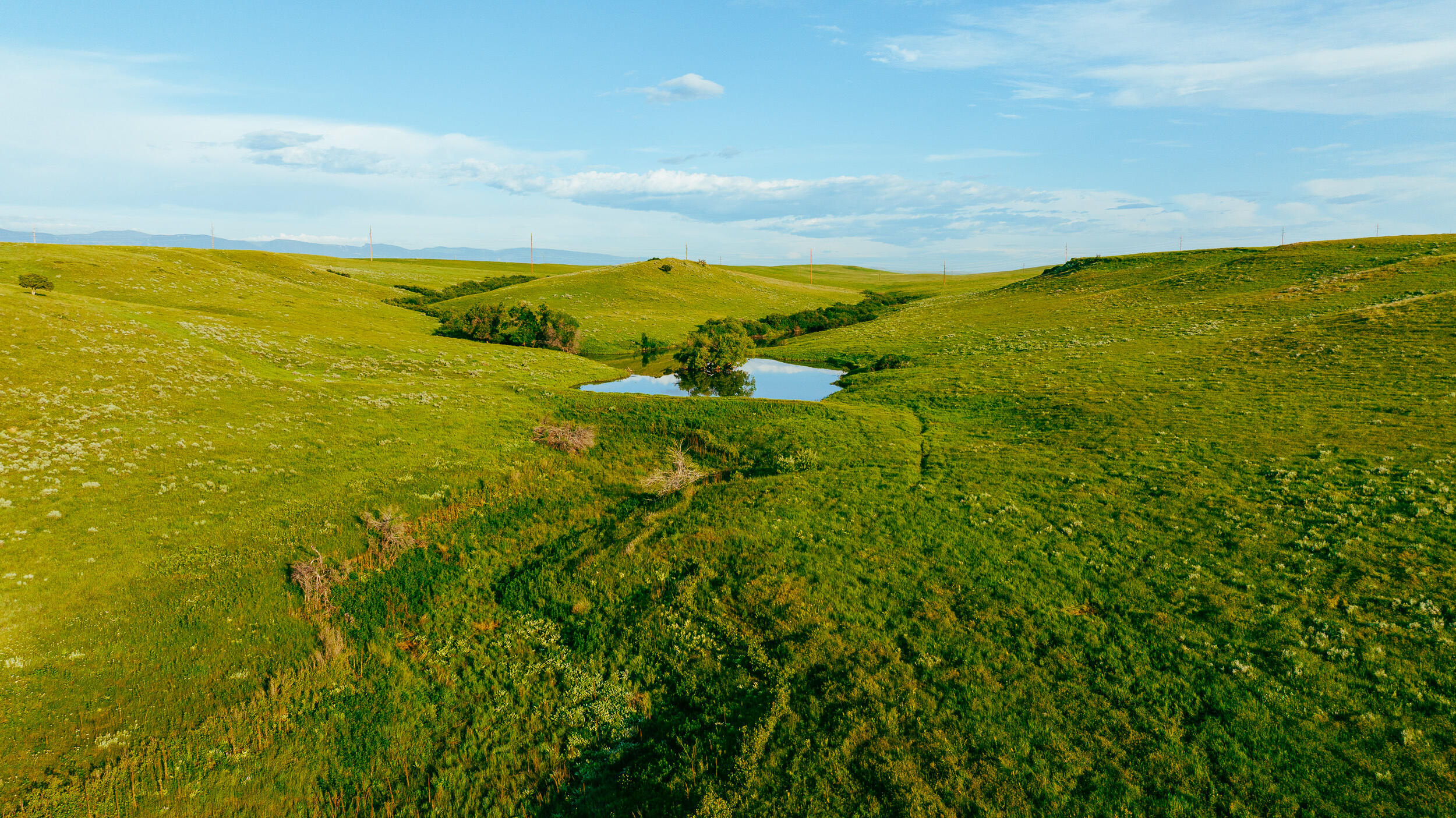 Lane Sheridan, WY 82801 - Photo 18 of 85 15.
