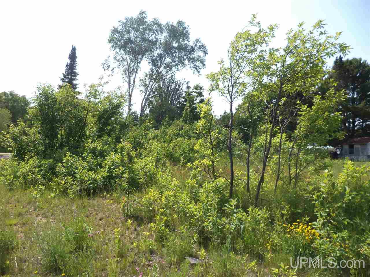 Tbd Third & Cedar Mohawk, MI 49950 - Photo 3 of 6
