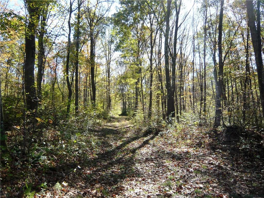293 Sechler Road Fort Hill, PA 15540 - Photo 13 of 24 Gallery Image 13