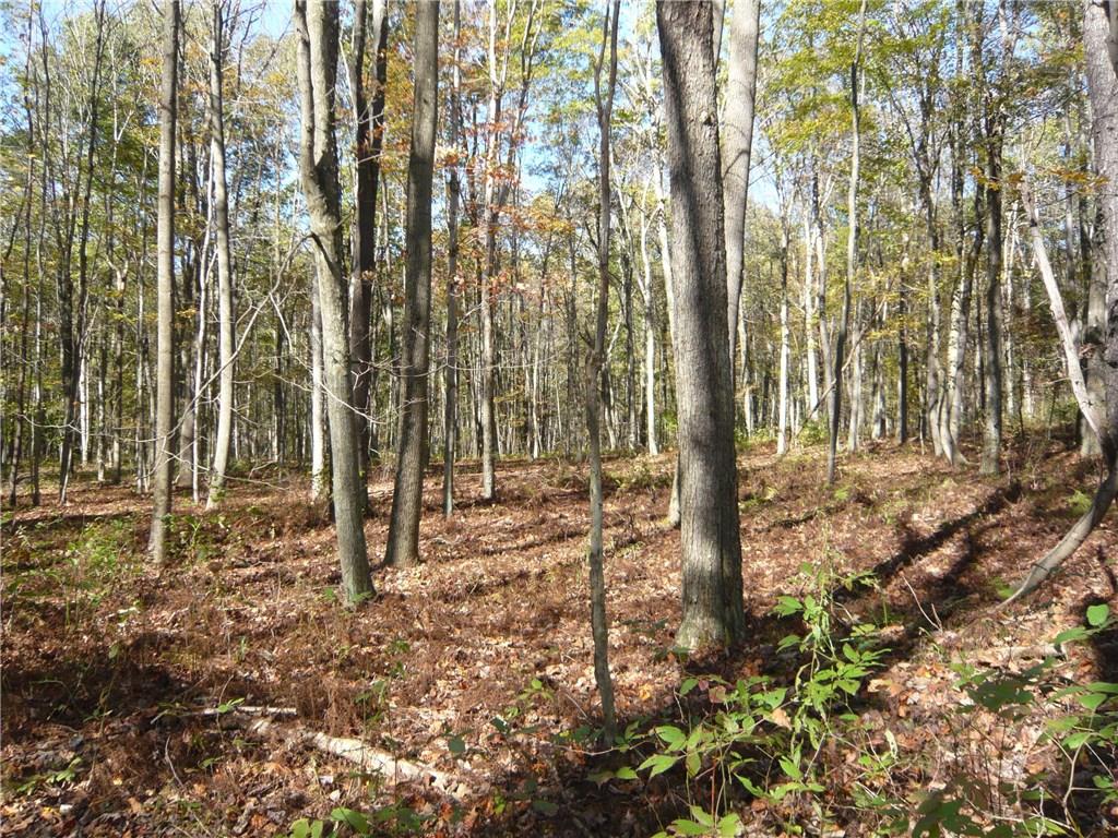 293 Sechler Road Fort Hill, PA 15540 - Photo 16 of 24 Gallery Image 16