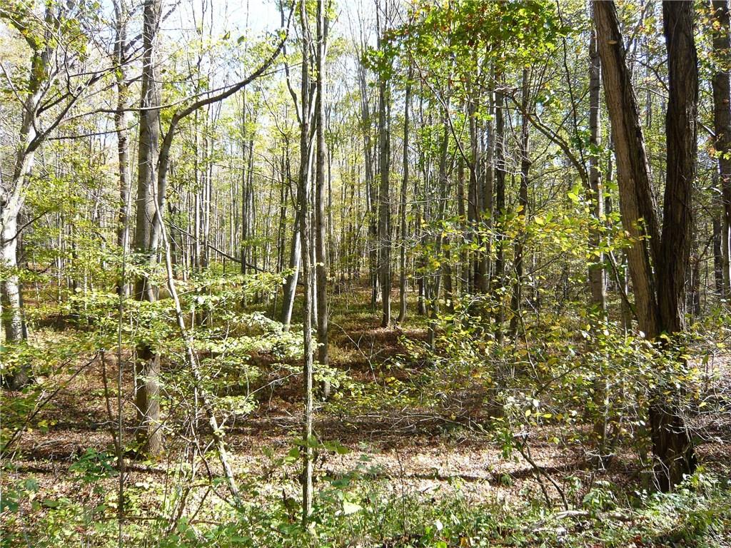 293 Sechler Road Fort Hill, PA 15540 - Photo 18 of 24 Gallery Image 18