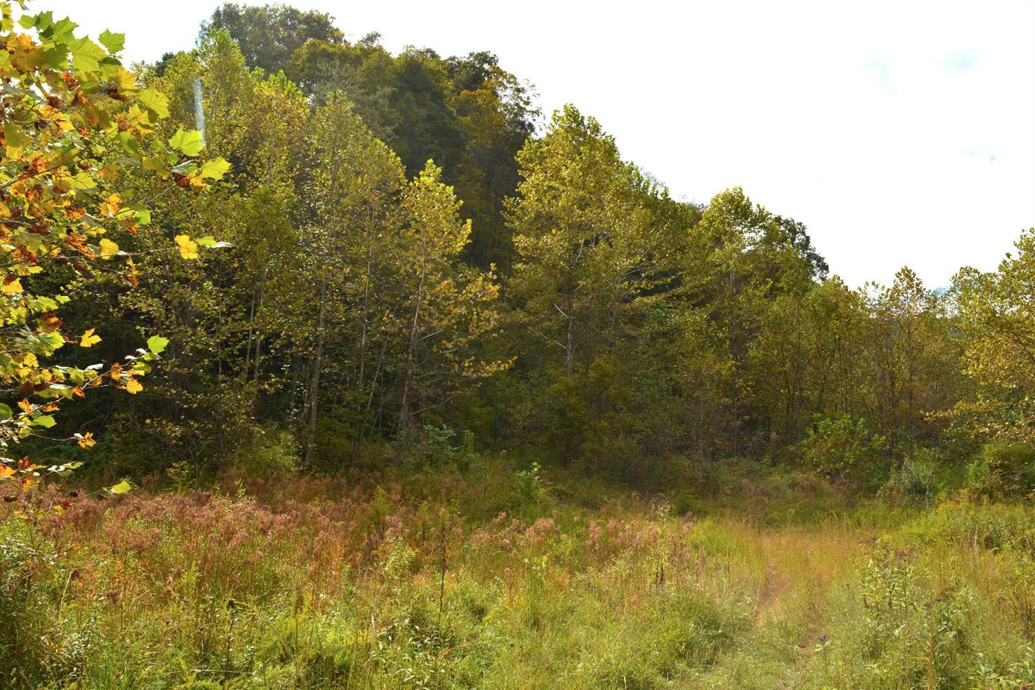 999 Sebastin Road Booneville, KY 41314 - Photo 7 of 14 Photo 7